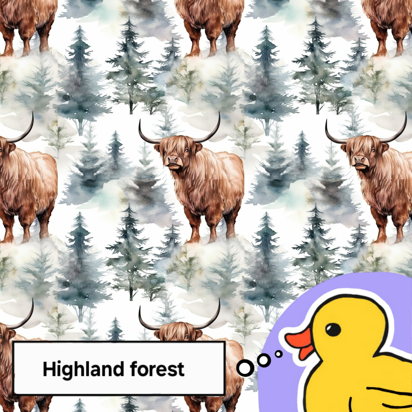 Highland forest