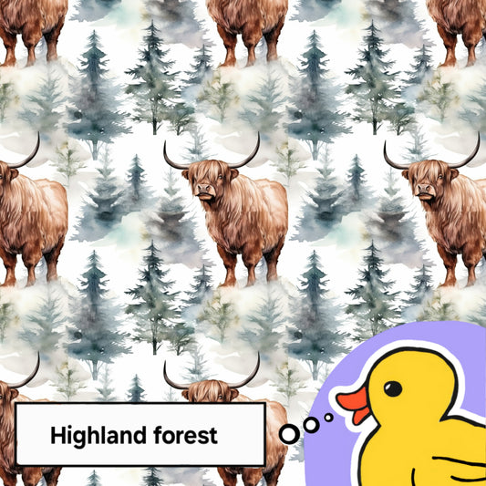 Highland forest
