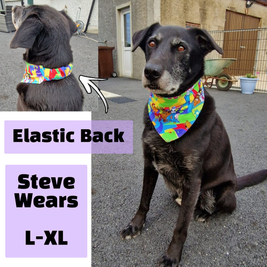Pet Bandana / Neckerchiefs - Elasticated back DOGS & CATS (XS-XXL)