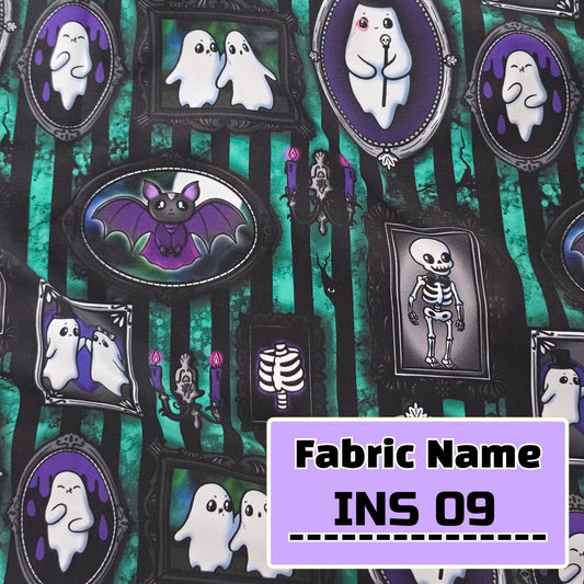 INS 09