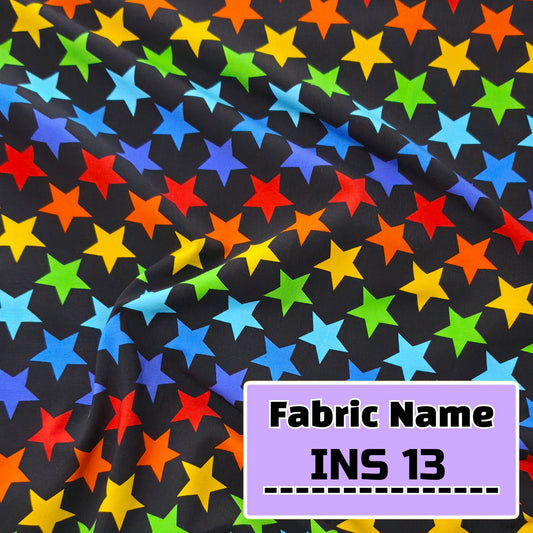 INS 13