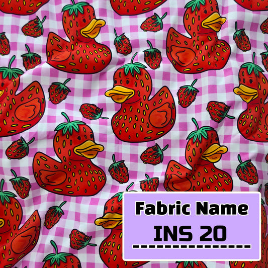 INS 20
