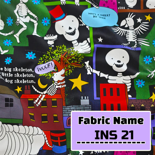 INS 21
