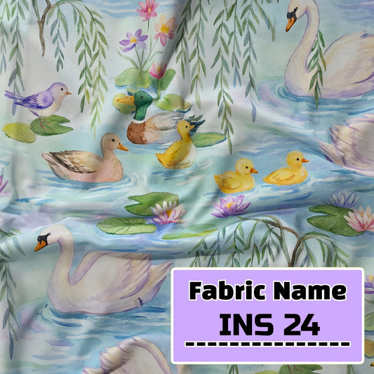 INS 24
