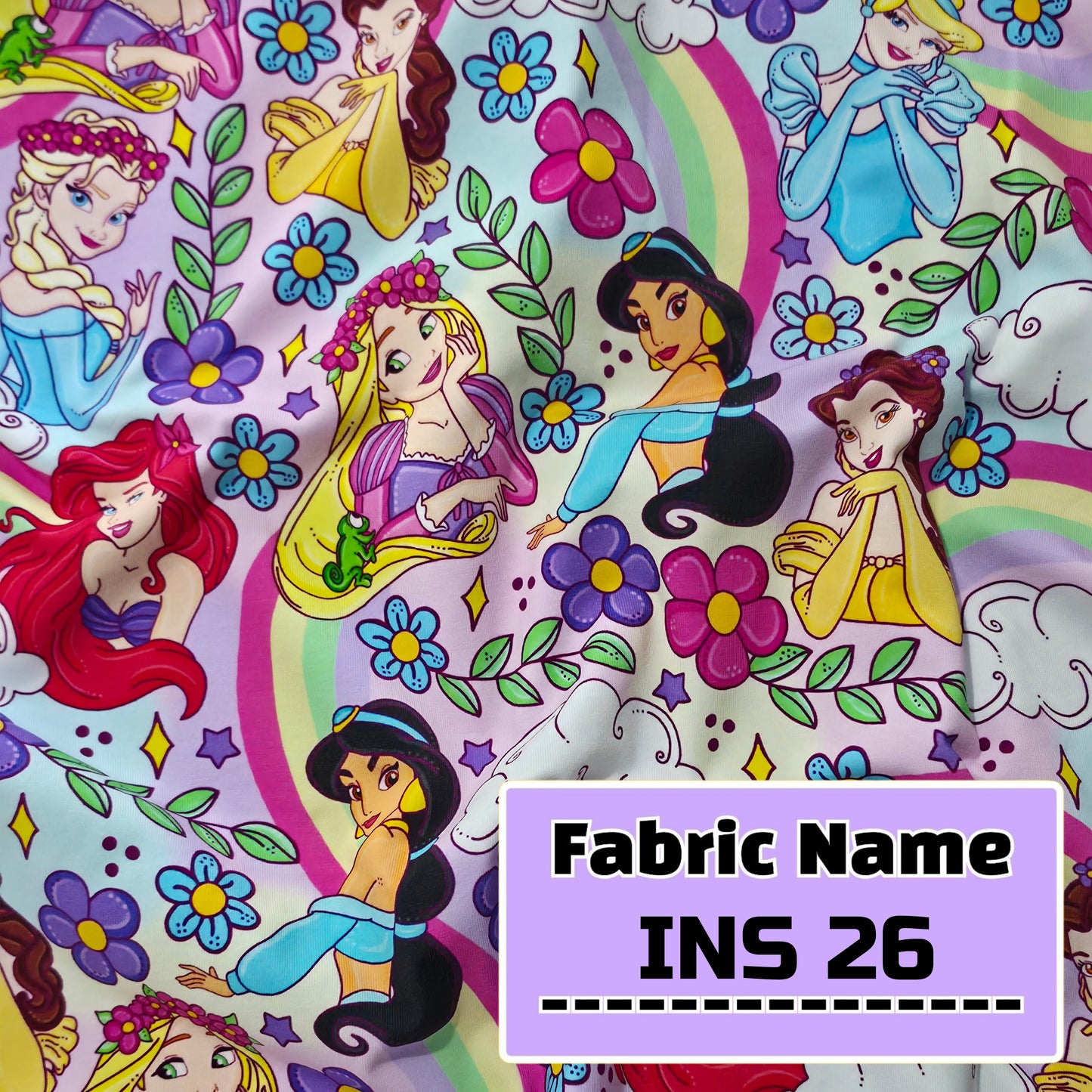 INS 26