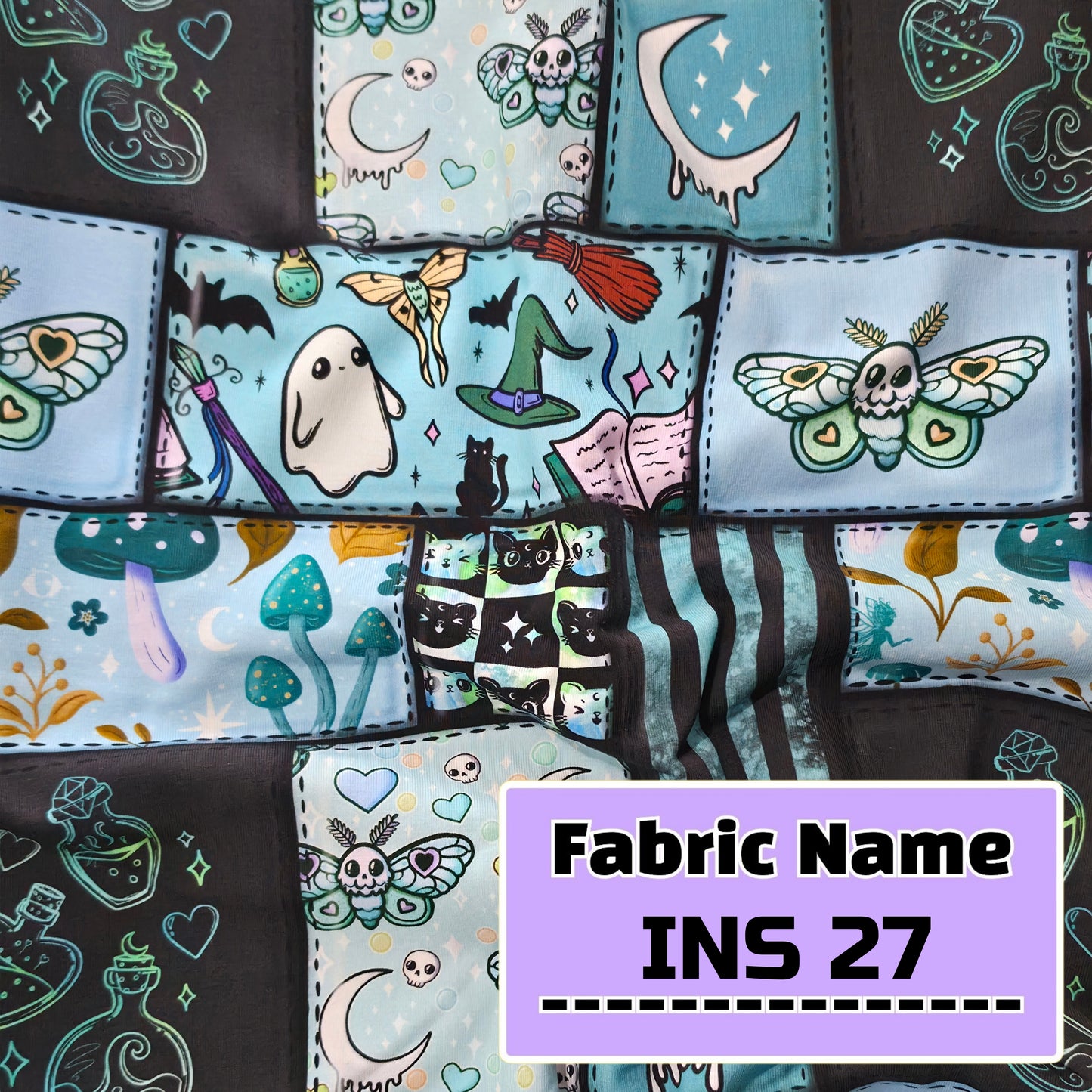 INS 27