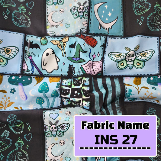 INS 27