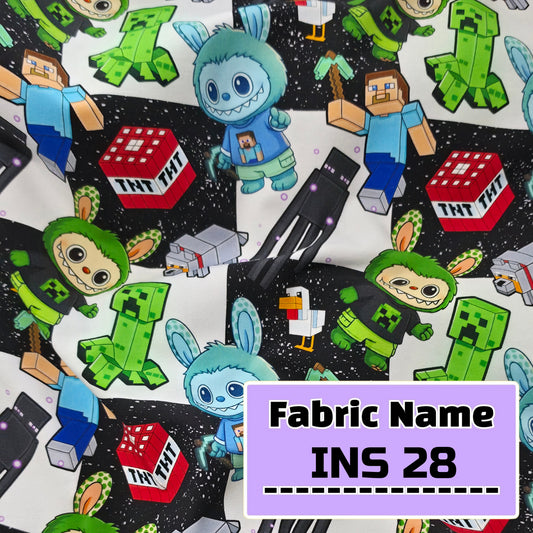 INS 28