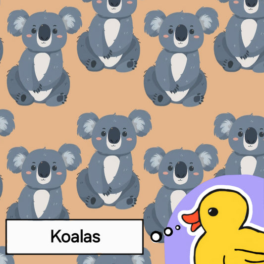 Koala