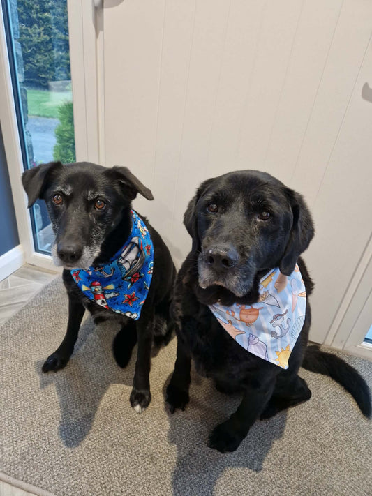 PETS - Dog Bandana (XS-L)