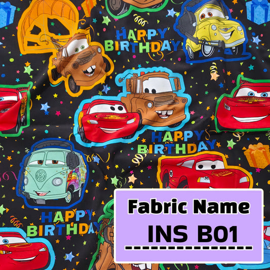 INS B01