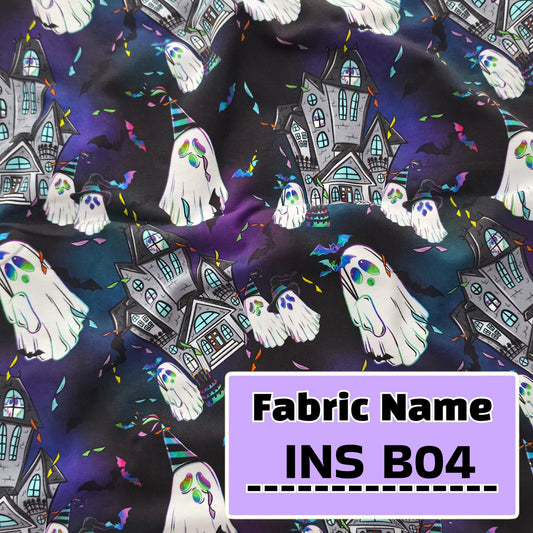 INS B04